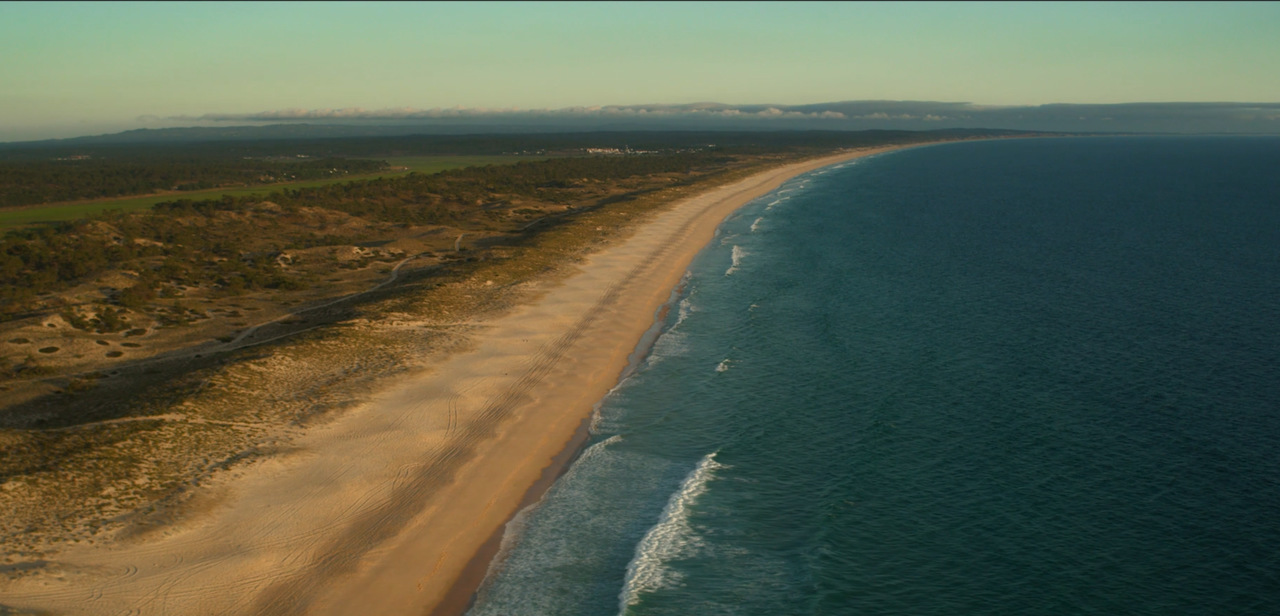 About Vanguard Properties Vanguard Properties